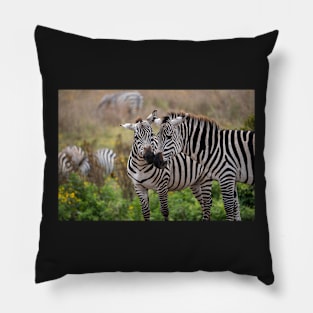 Zebra Affection: Ngorongoro Crater, Tanzania Pillow