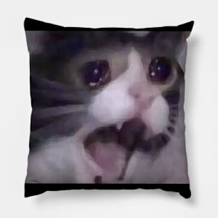 Sad Cat Pillow