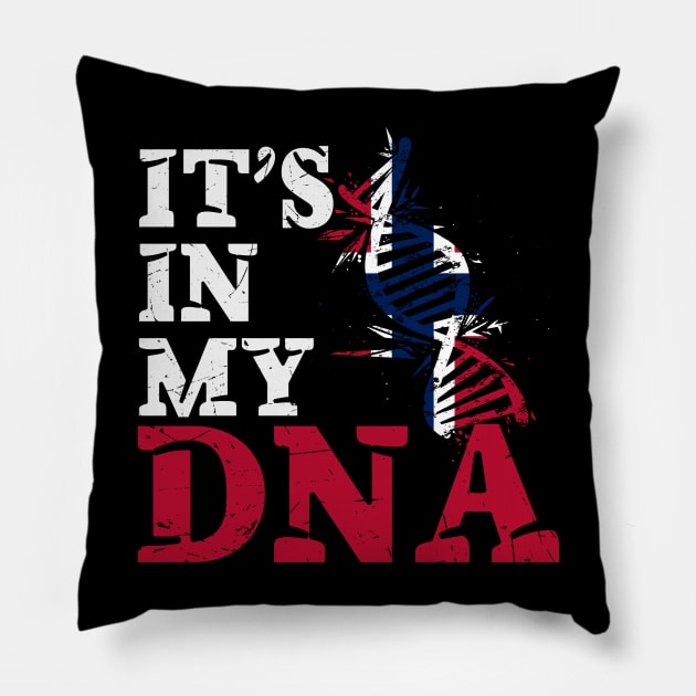 It's in my DNA - Norway Pillow by JayD World