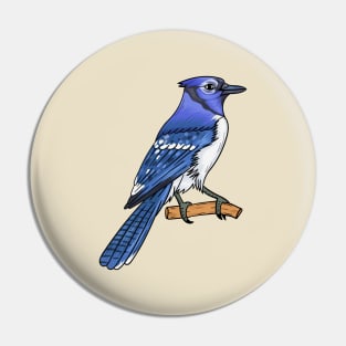 Blue jay bird cartoon illustration Pin