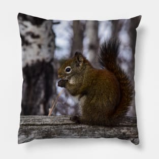 Red Squirrel Snacking. Pillow