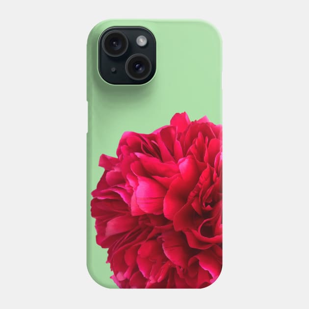 A Red Peony Flower on Mint Green Background Phone Case by sarahlroozendaal