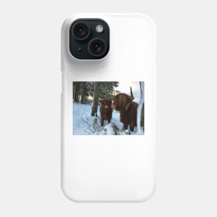 Scottish Highland Cattle Cow and Calf 1621 Phone Case