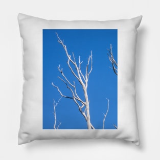 White tree limbs. Pillow