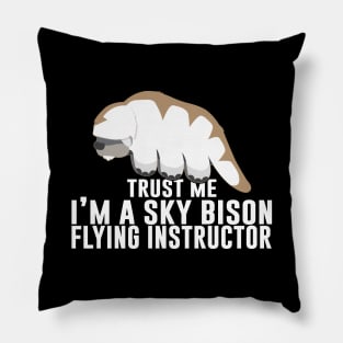 Trust Me. I'm A Sky Bison Flying Instructor Pillow