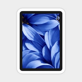 Beautiful Blue Flowers, for all those who love nature #93 Magnet