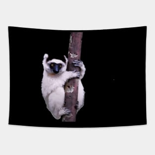 Cute Sifaka Lemur monkey clinging to a tree Tapestry