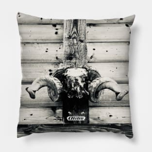 Teufel II / Swiss Artwork Photography Pillow