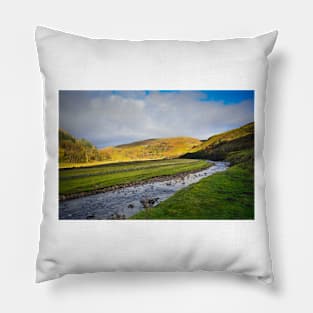 The River Swale Pillow