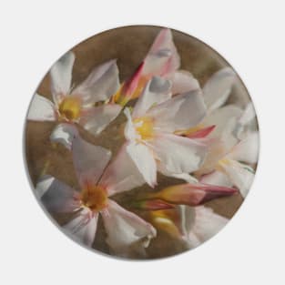 Soft Pink Blush Oleander Digital Art Pin