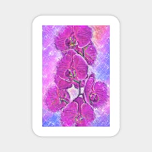 Pink And Purple Orchid Magnet