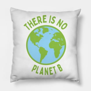 There Is No Planet B Pillow