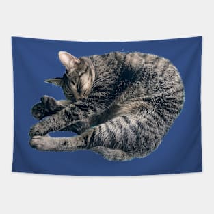 Sleeping Tabby Tapestry