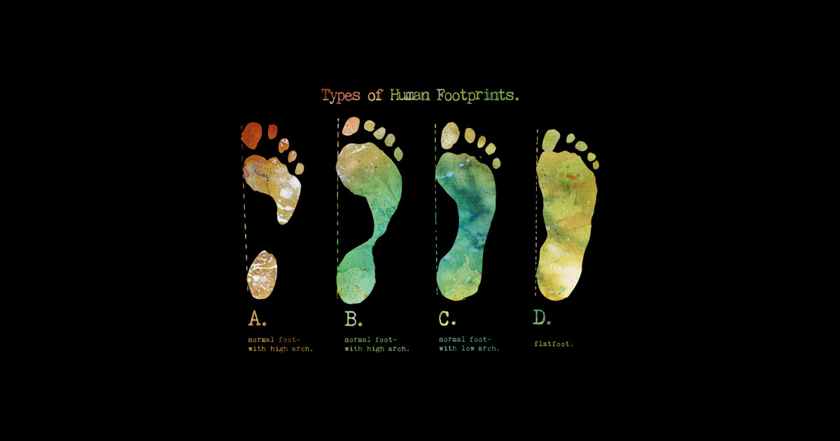 Types of Footprints Footprints Sticker TeePublic