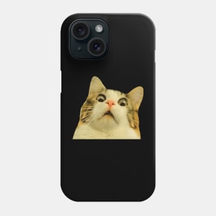 Surprised cat Phone Case