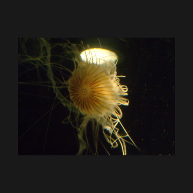 Golden Jellyfish Photo Print And Others by nhitori