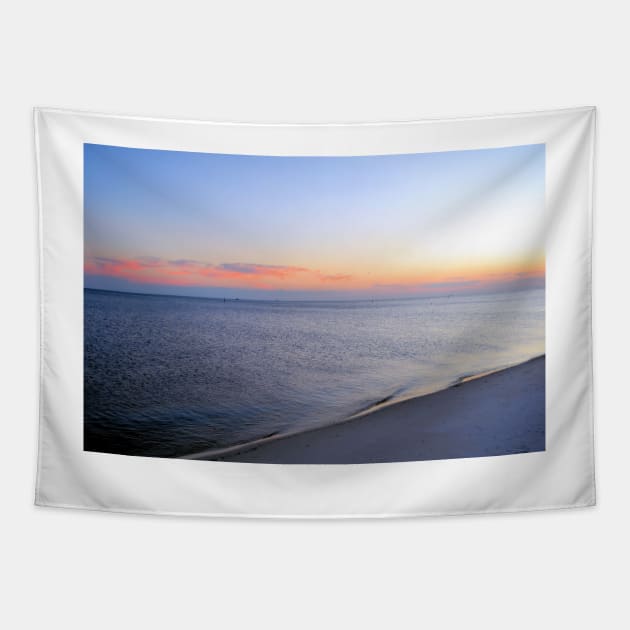 Serene Waters Tapestry by bgaynor