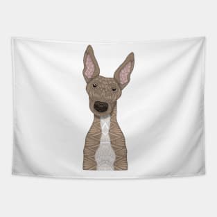 Cute fawn greyhound with white belly Tapestry