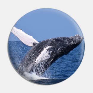 Humpback Whale Pin