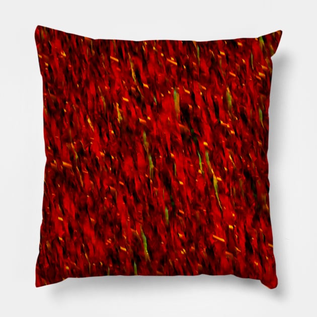 The Red Curtain Pillow by jwwallace