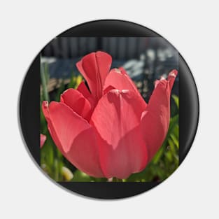 Red Tulip 3 Pin