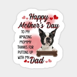 Boston Terrier Happy Mother's Day To My Amazing Mommy Magnet