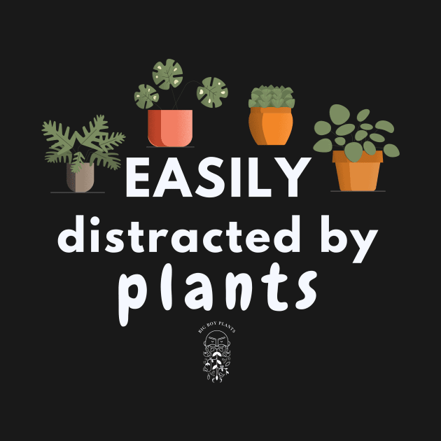 Easily distracted by Plants (dark background) by BigBoyPlants