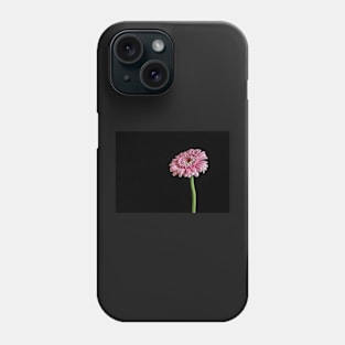 Pink Gerbera with Black Background Phone Case