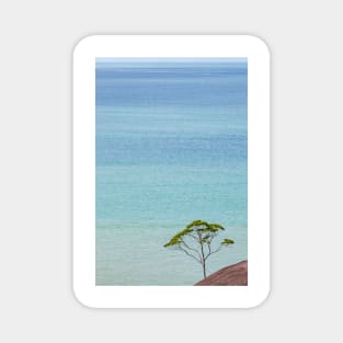 Small tree and big vast ocean scenery Magnet