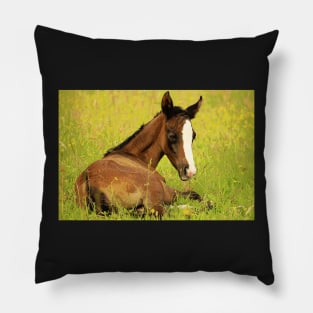 2017 Horse 05 Pillow