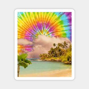 Hippie Tie Dye Palm Beach Magnet