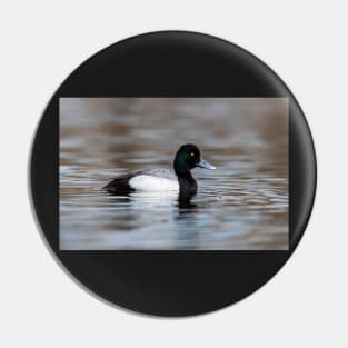 Greater Scaup Pin