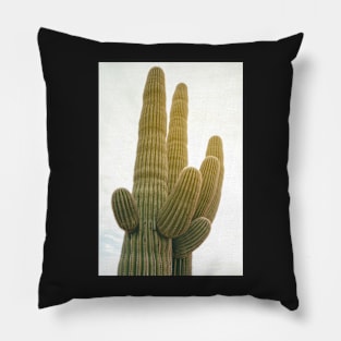 Saguaro Pillow