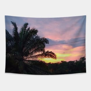 Tropical Sunset With Palm Tree Tapestry