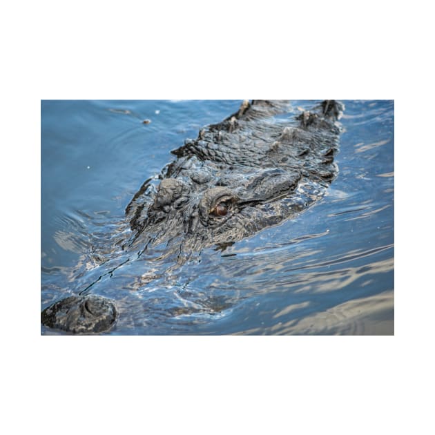 daddy alligator by KensLensDesigns