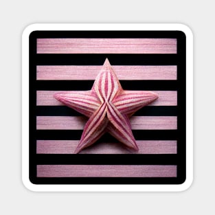 Pink and Black striped background with pretty pink striped starfish. Magnet