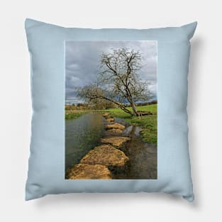 River Coln Pillow