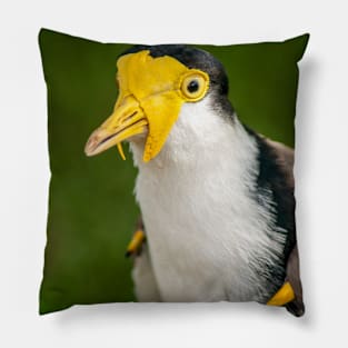 Australian Masked Lapwing (Plover) Pillow