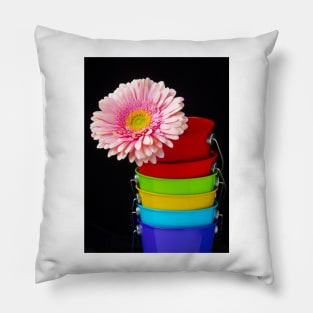 Pink Daisy In Colorful Buckets Pillow