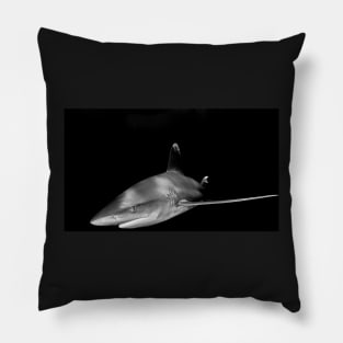 Close Encounter With an Oceanic White Tip Shark Pillow