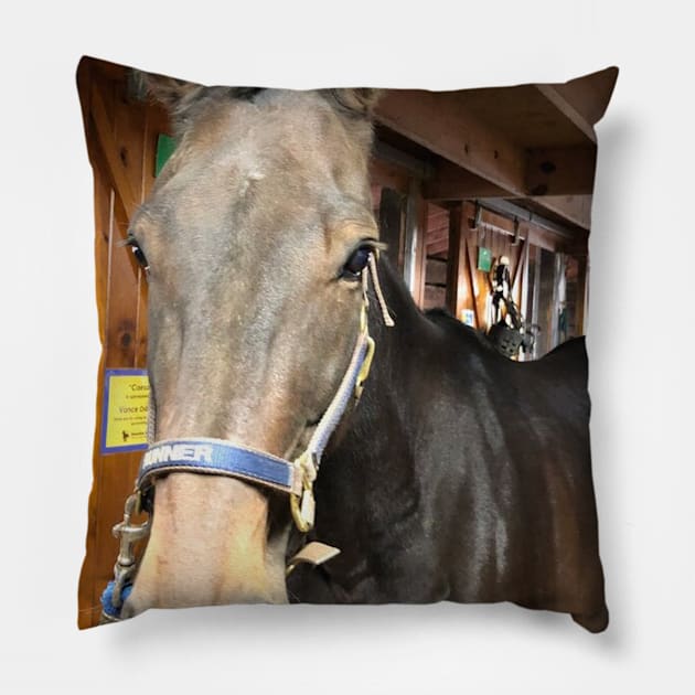 Runner Pillow by SunshineHorses