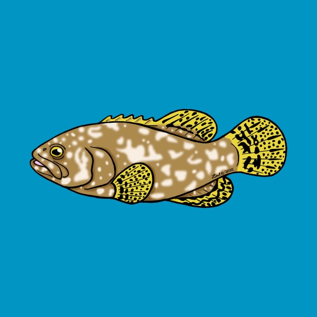 Queensland Grouper by HonuHoney