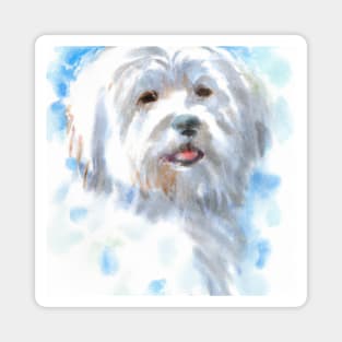 Maltese Watercolor Painting - Dog Lover Gifts Magnet