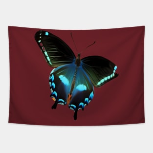 Butterfly Black and Blue Tapestry