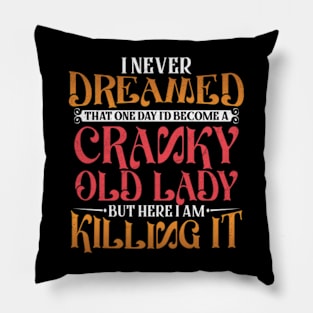 I Never Dreamed That One Day I'd Become a Cranky Old Lady Pillow