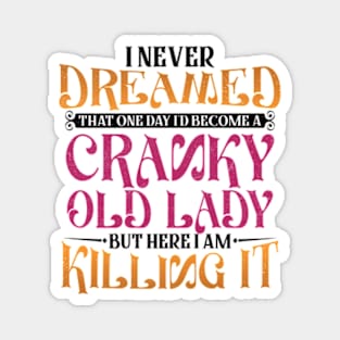 I Never Dreamed That One Day I'd Become a Cranky Old Lady Magnet