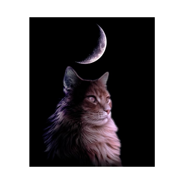 Moon Cat by Random Galaxy