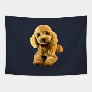 Poodle Puppy Dog Tapestry