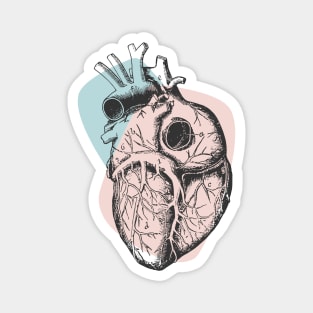 Anatomical Heart • Pastel Pink & Blue • Pastel Goth Magnet