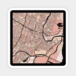 Newark Map Pattern in Soft Pink Pastels Magnet